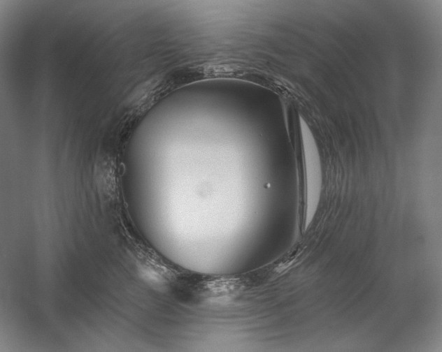 X0000060220761200510281108