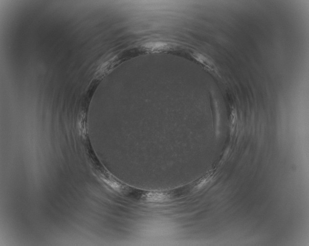 X0000060220766200510281108