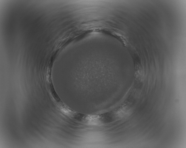 X0000060220767200510281108