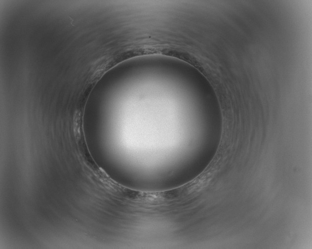 X0000060220768200510281108