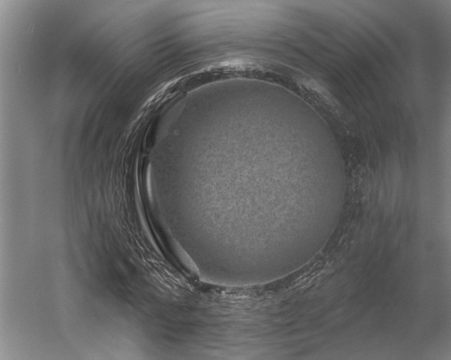 X0000060220776200510281107