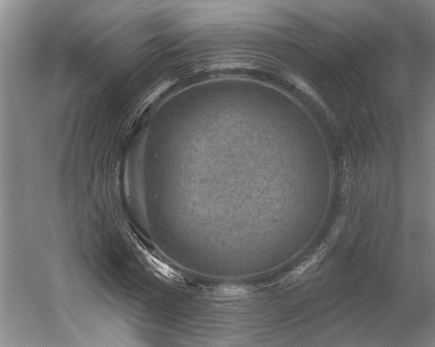 X0000060220777200510281107