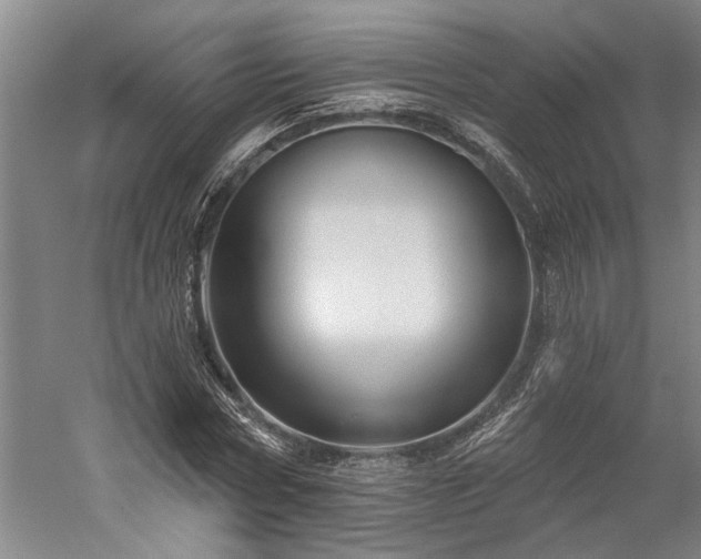 X0000060220778200510281107