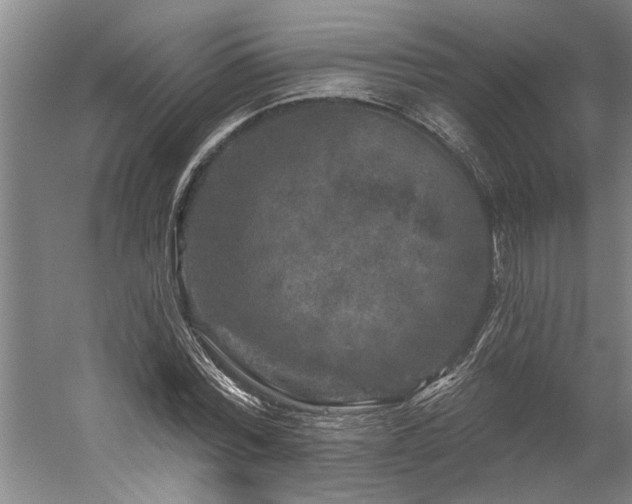 X0000060220780200510281107