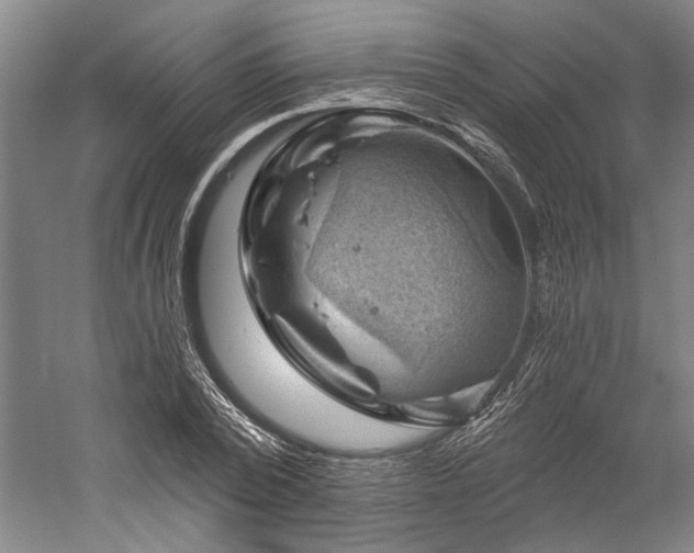 X0000060220784200510281107