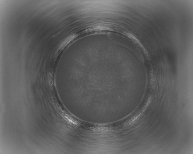 X0000060220785200510281107