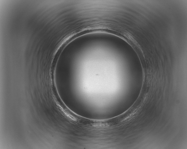 X0000060220789200510281106