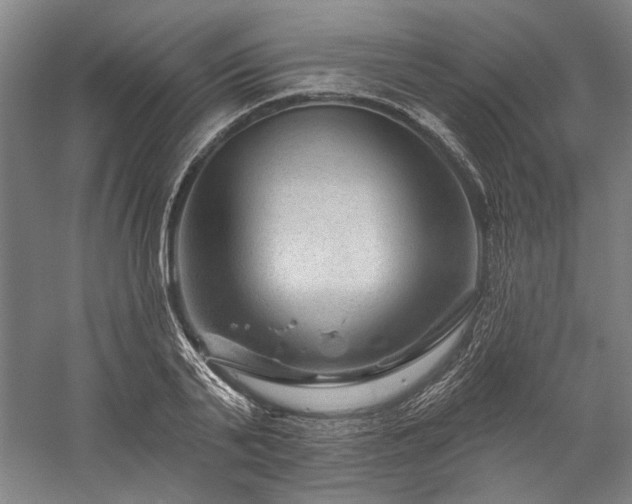 X0000060220791200510281106