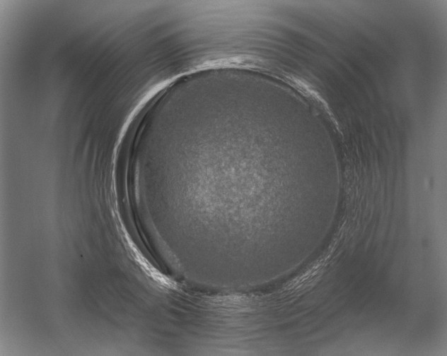 X0000060220792200510281106