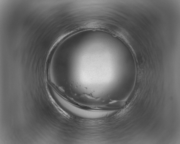 X0000060220795200510281106