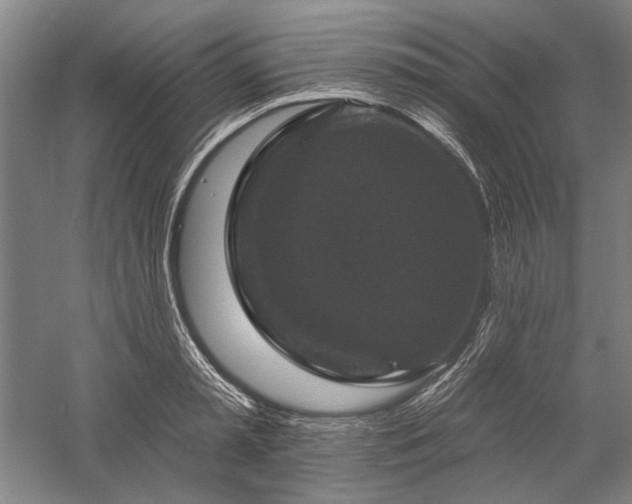 X0000060220797200510281106