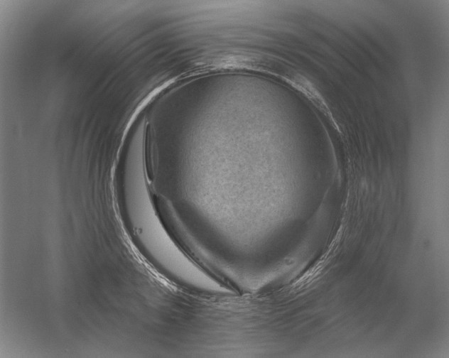 X0000060220798200510281106