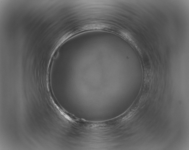 X0000060220802200510281106