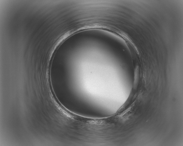 X0000060220805200510281106