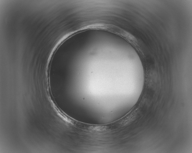 X0000060220808200510281106