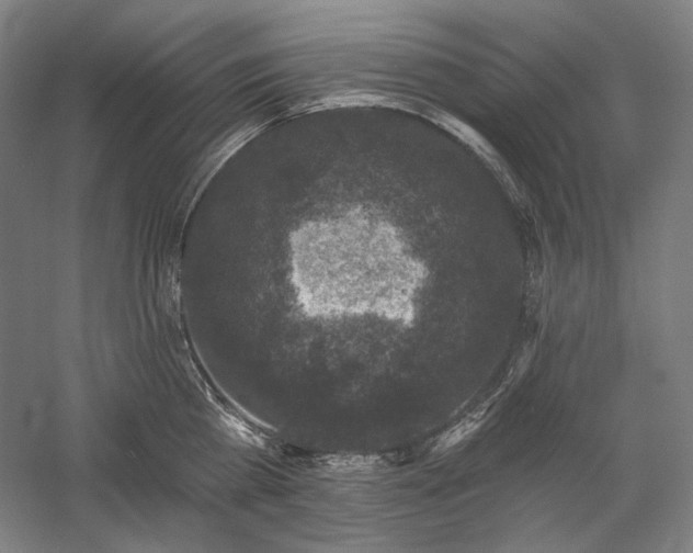 X0000060220809200510281106