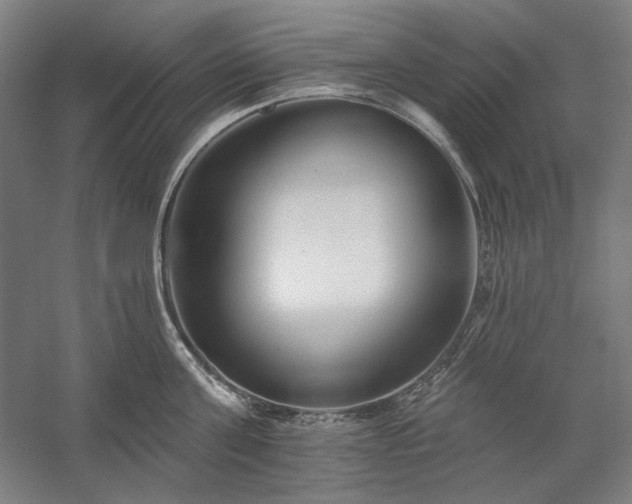 X0000060220811200510281106