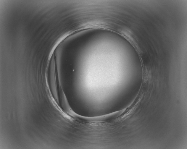 X0000060220812200510281106