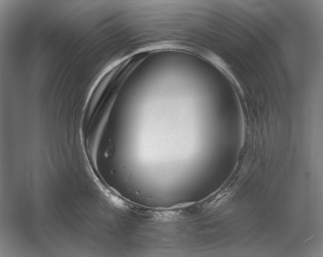 X0000060220813200510281106