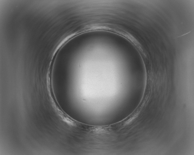 X0000060220814200510281106