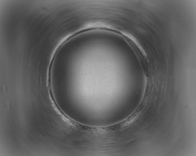 X0000060220815200510281106