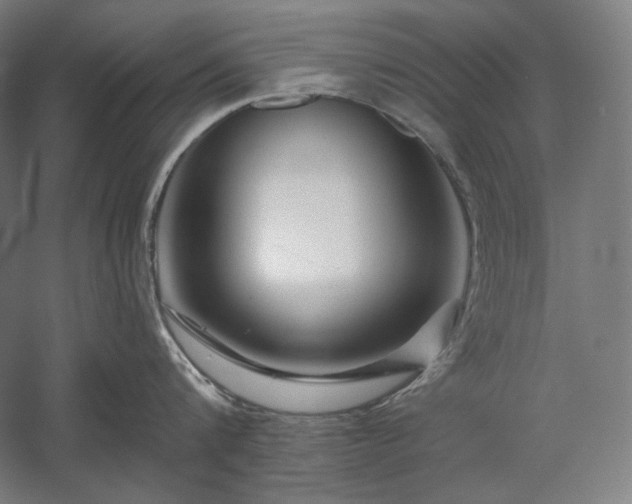 X0000060220816200510281106