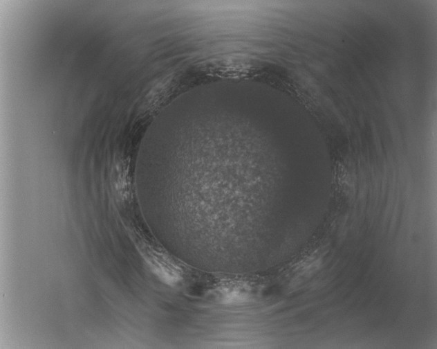 X0000060220818200510281105