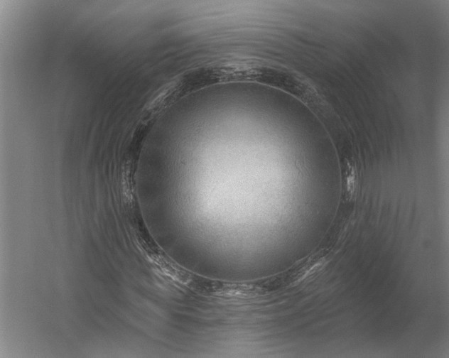 X0000060220819200510281105