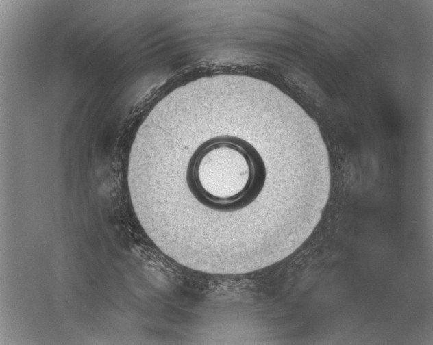 X0000060220824200510281105