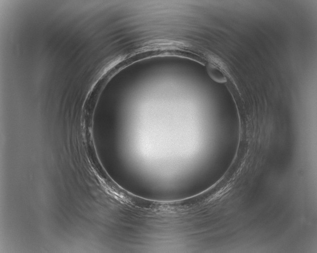 X0000060220827200510281105
