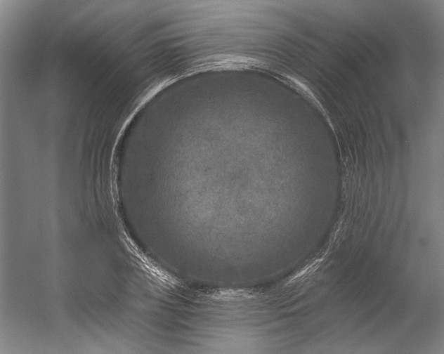 X0000060220835200510281106