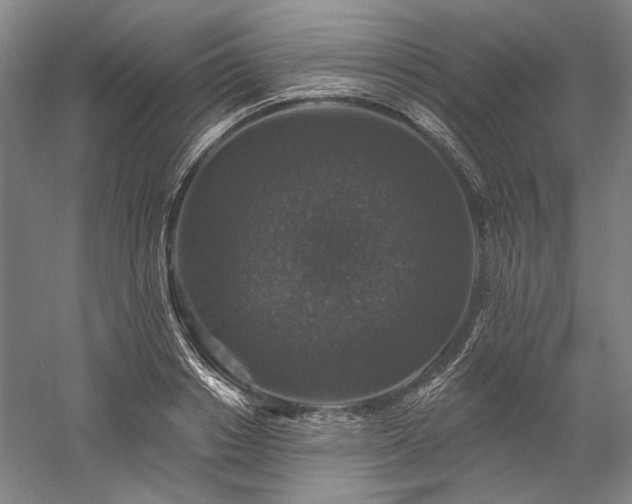 X0000060220842200510281106