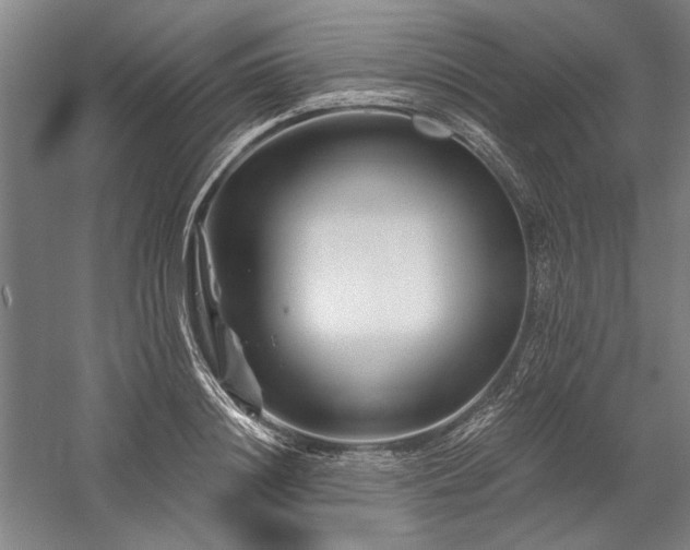 X0000060220844200510281106