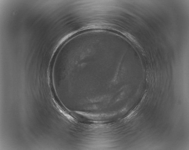 X0000060220846200510281106