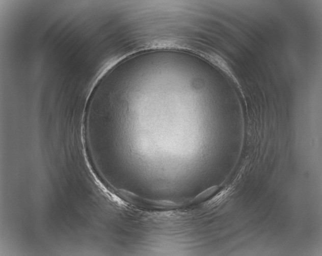 X0000060220847200510281106