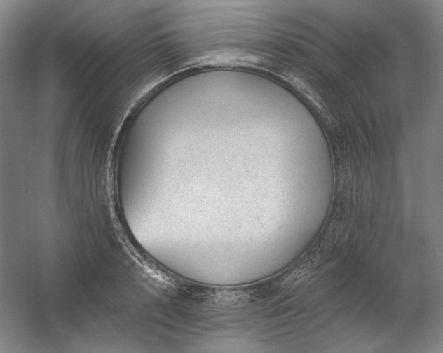 X0000060220848200510281106
