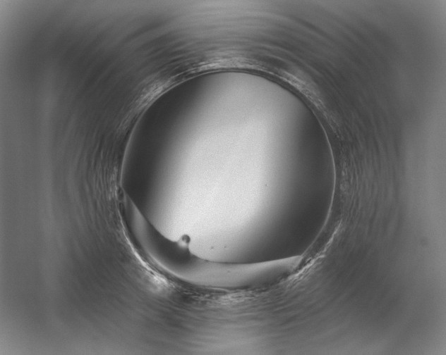 X0000060220849200510281106
