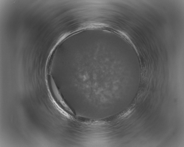 X0000060220851200510281106