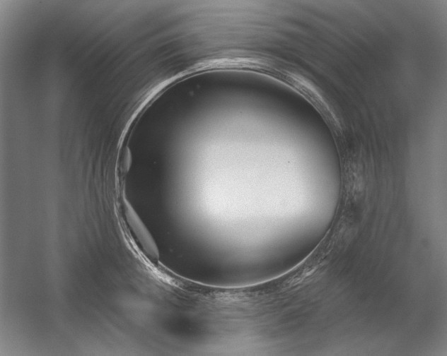 X0000060220852200510281106