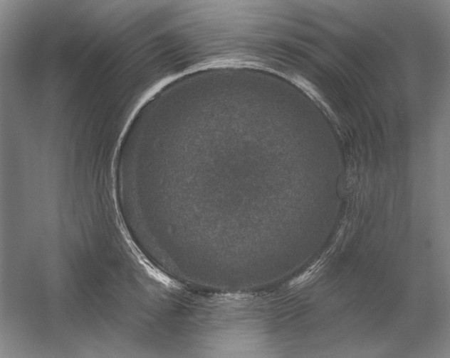 X0000060220854200510281106