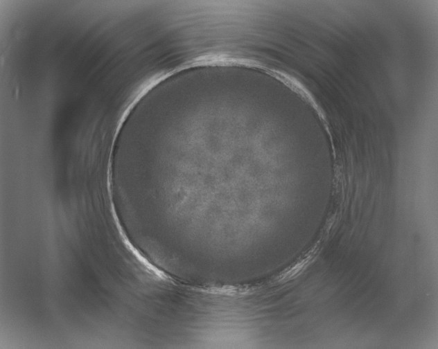 X0000060220855200510281106