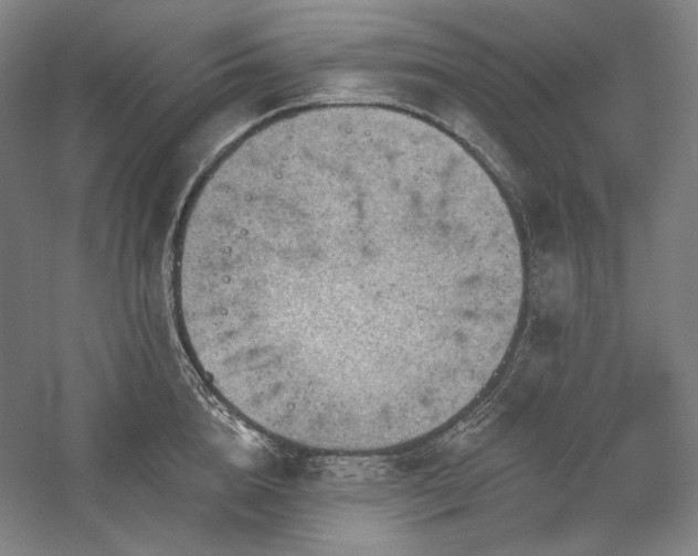 X0000060220856200510281106