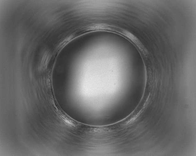 X0000060220857200510281106