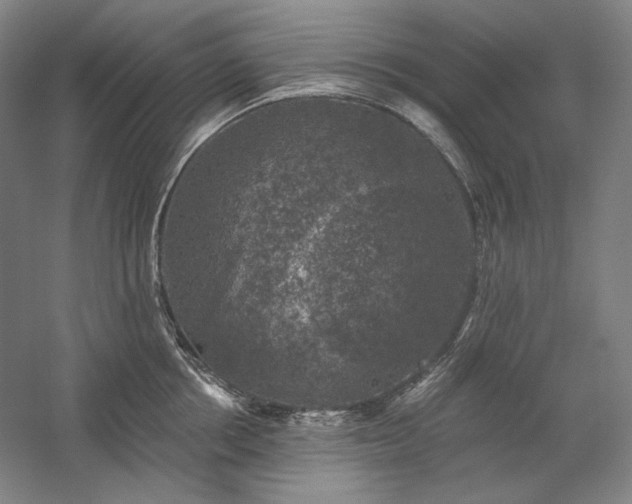 X0000060220858200510281106