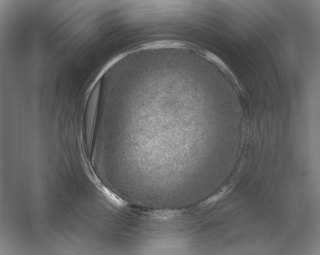 X0000060220860200510281106