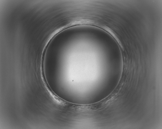 X0000060220861200510281106