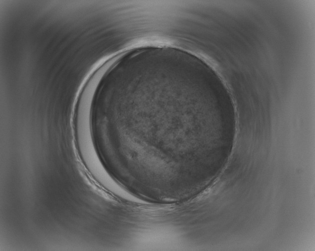 X0000060220864200510281106