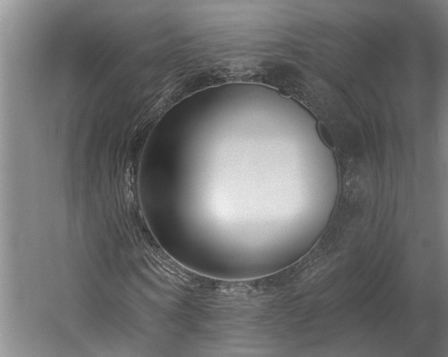 X0000060220866200510281105