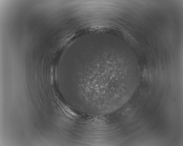 X0000060220868200510281105