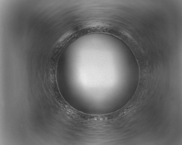 X0000060220869200510281105